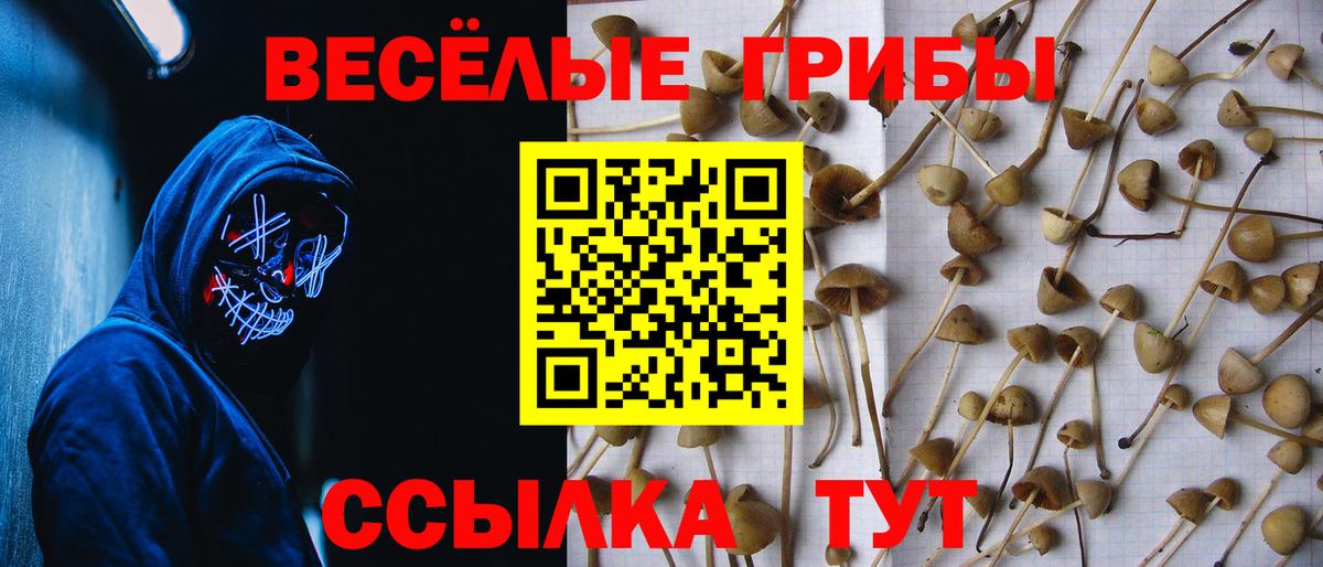 Псилоцибиновые грибы GOLDEN TEACHER Алатырь