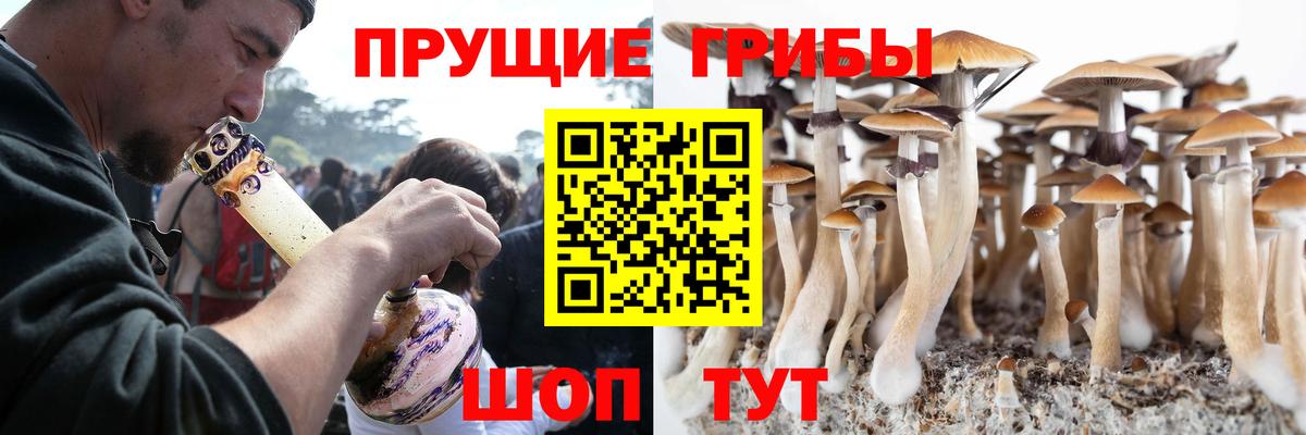 Галлюциногенные грибы мухоморы  Вход с VPN  Галлюциногенные грибы ЛСД  Алатырь 