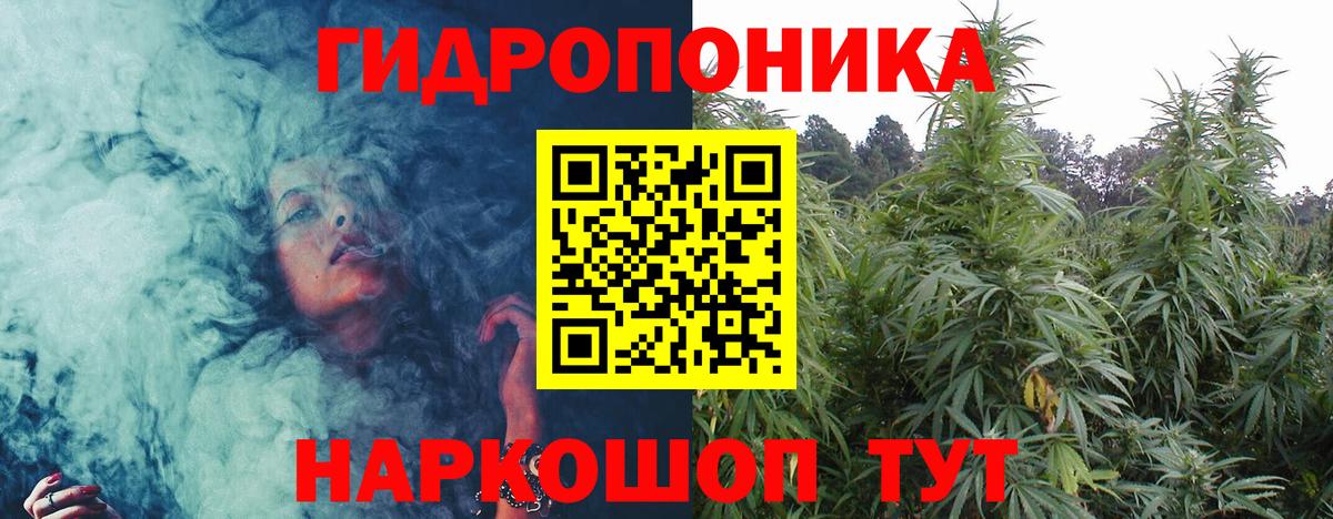 Марихуана White Widow  Бошки Шишки Bruce Banner  Алатырь  Конопля планчик  Вход с VPN 